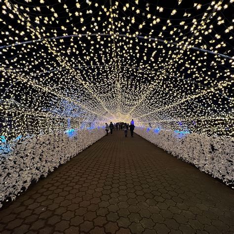 TOKYO MEGA ILLUMINATION: All You Need to Know BEFORE You Go (with Photos).
